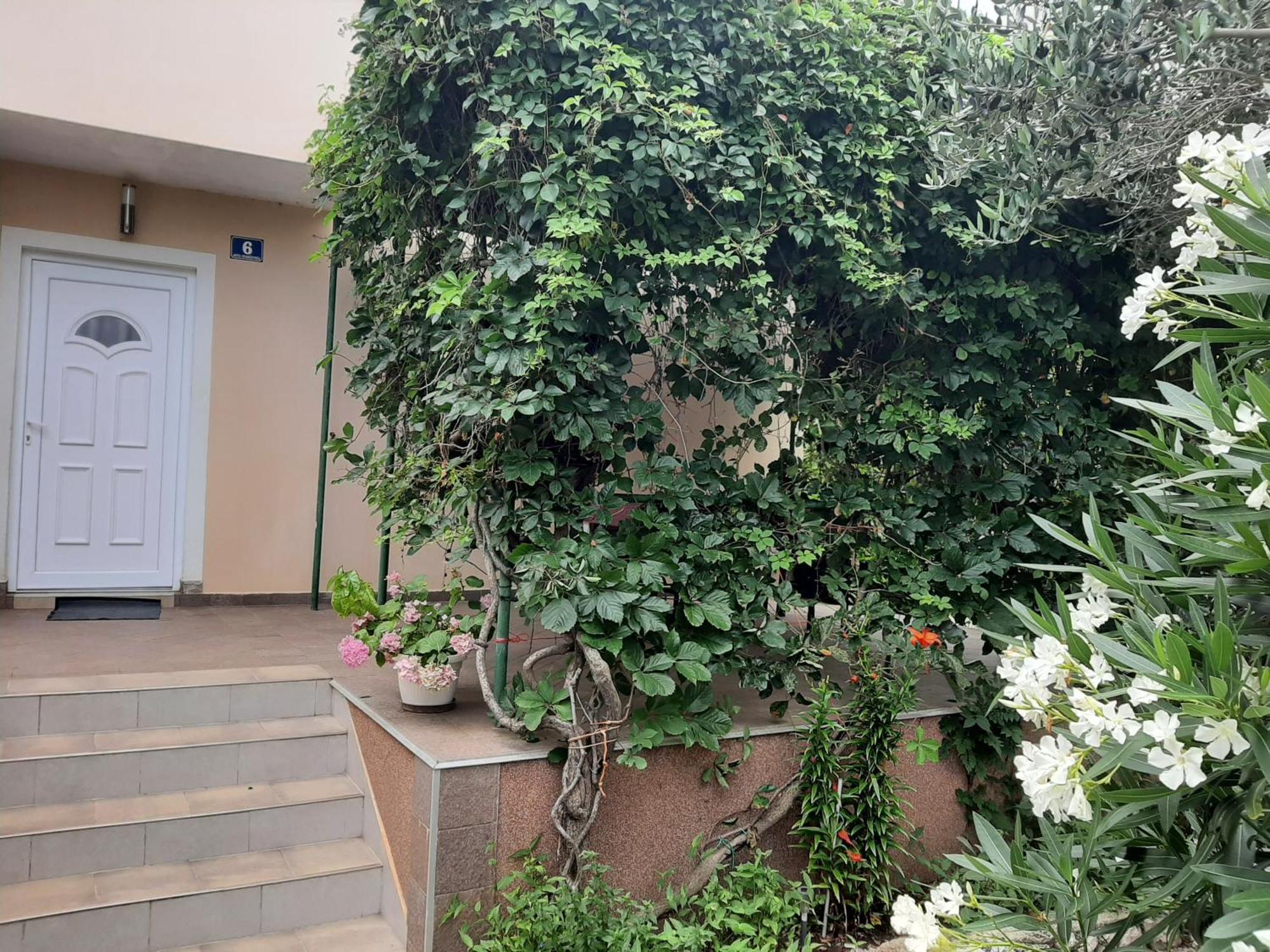 Apartmani Marija Povljana Quarto foto
