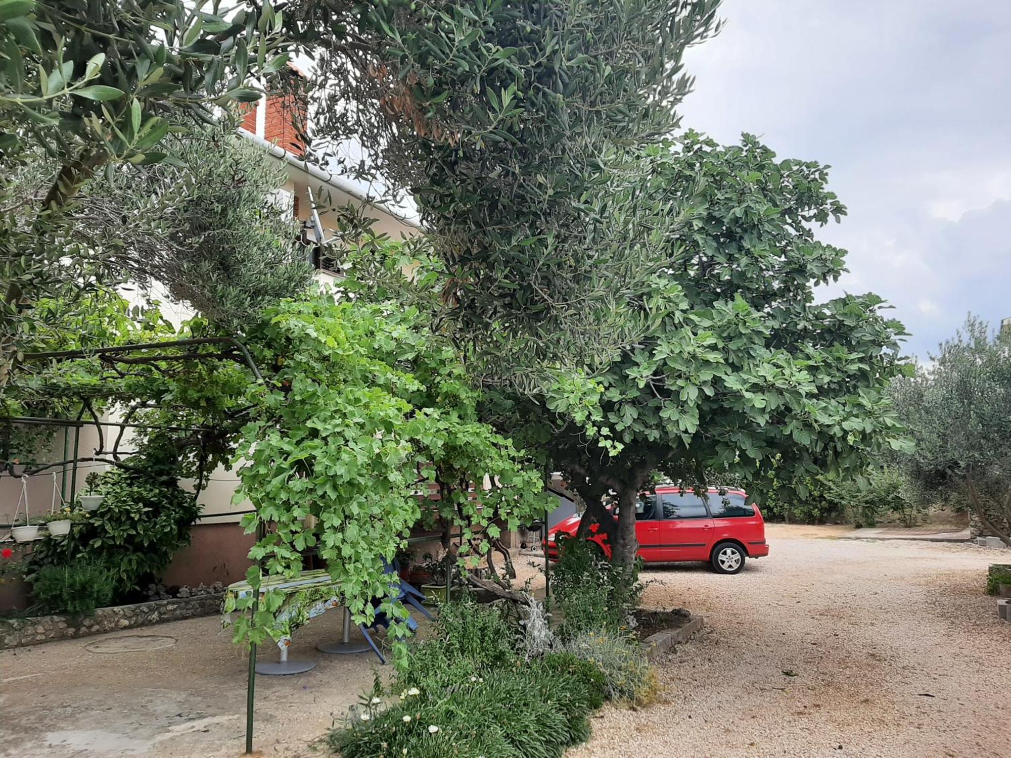 Apartmani Marija Povljana Quarto foto