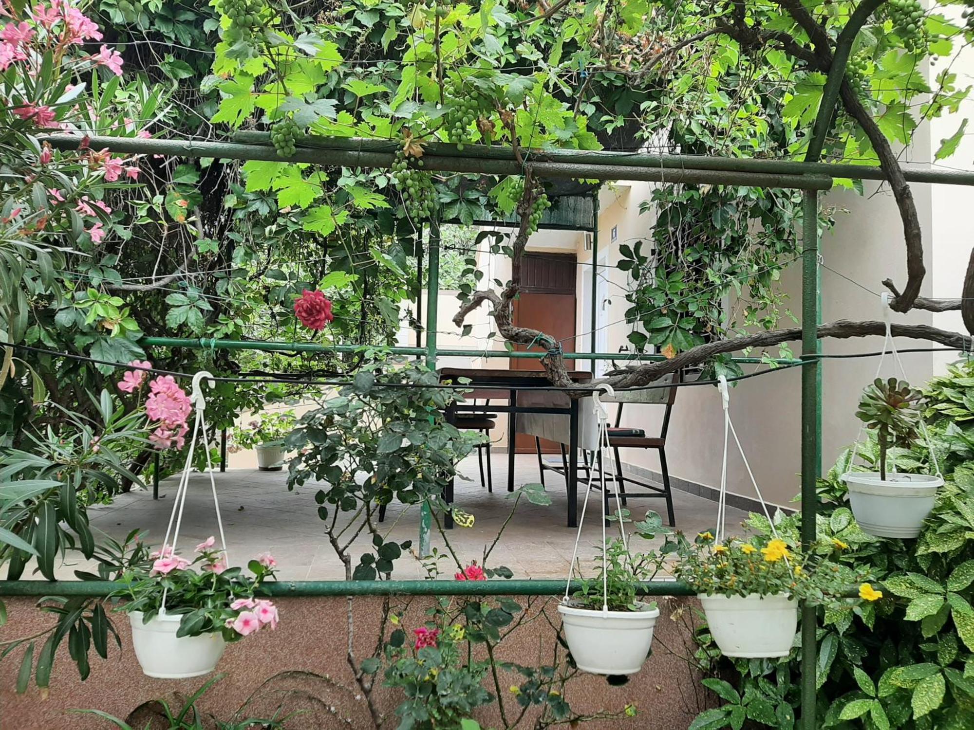 Apartmani Marija Povljana Quarto foto
