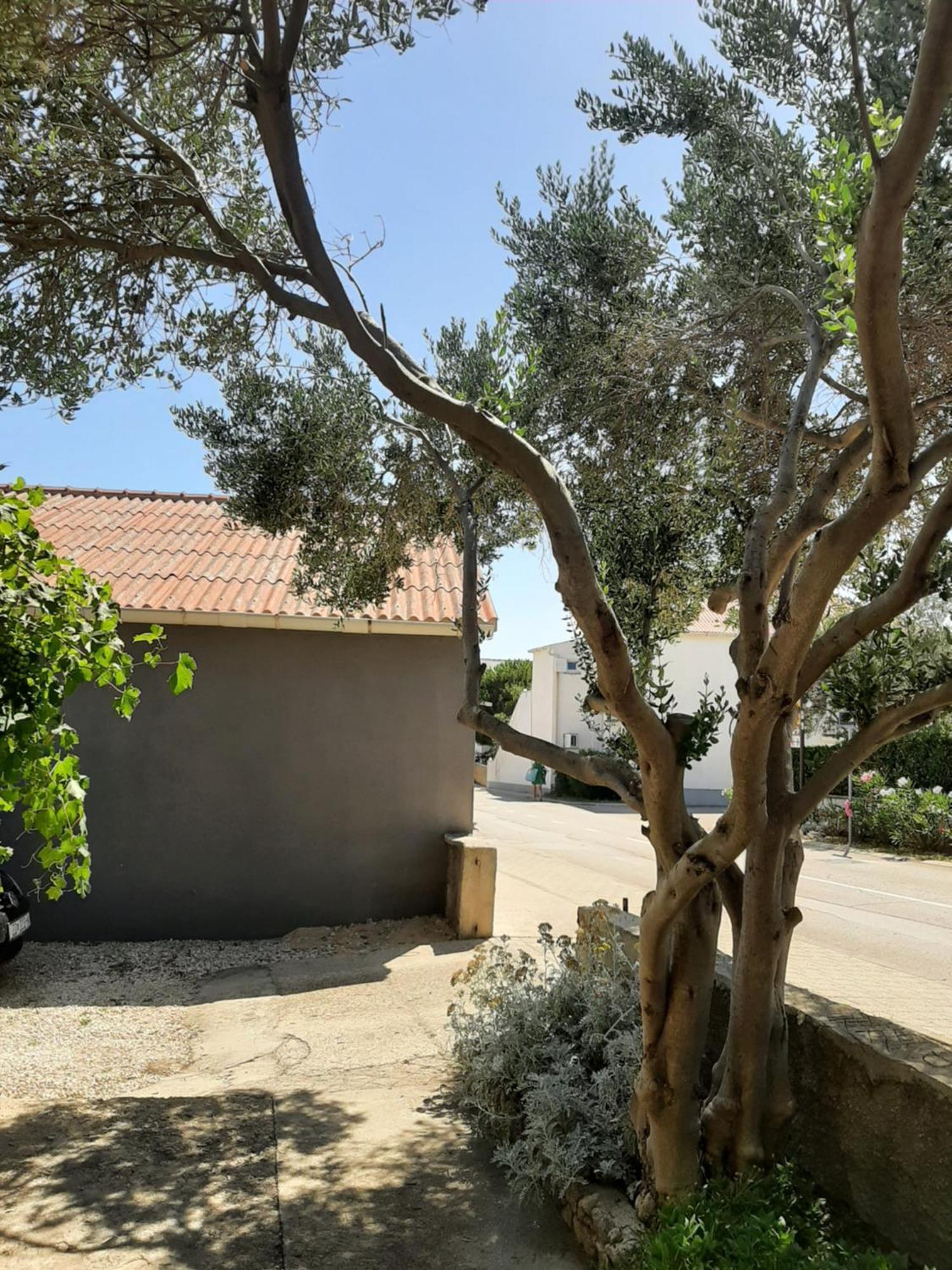 Apartmani Marija Povljana Quarto foto